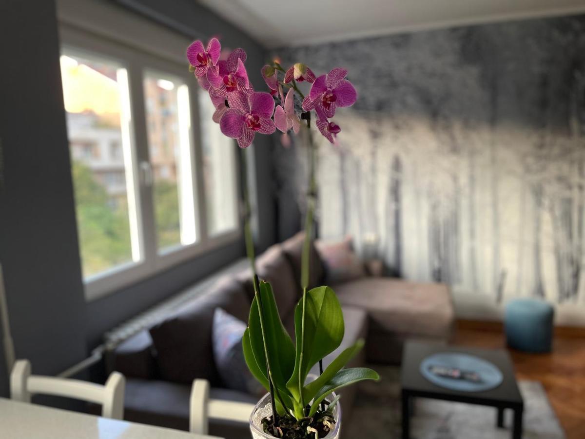 Apartman Avenia Novi Sad Eksteriør bilde