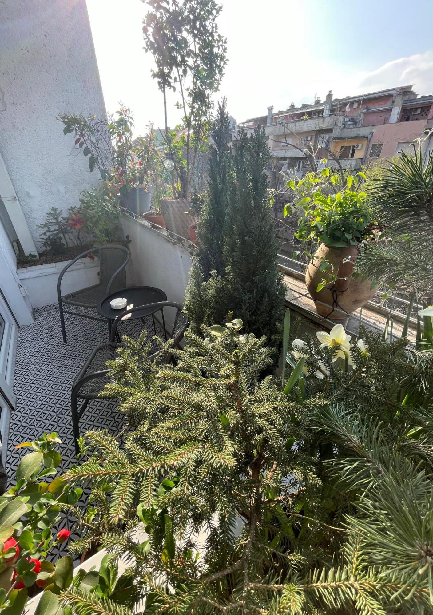Apartman Avenia Novi Sad Eksteriør bilde